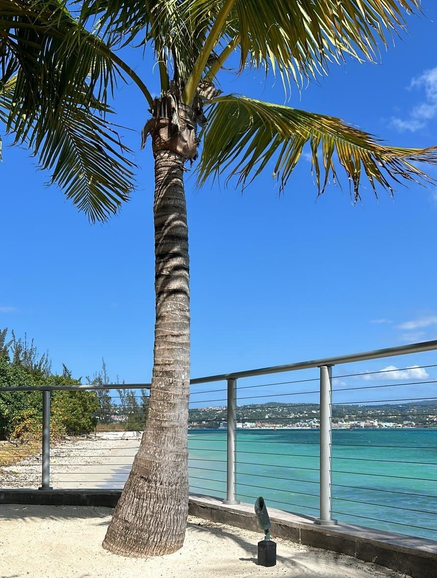 Ninth image of 202-lot A23 Soleil Residences, Monteg in Montego Bay, St. James, Jamaica - property is For Rent
