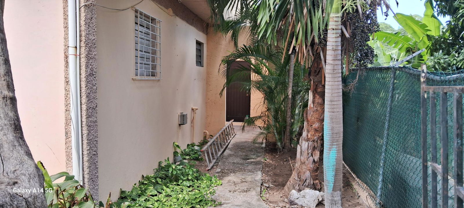 First image of 25 Hamilton Drive in Kingston 10, St. Andrew, Jamaica - property is For Rent