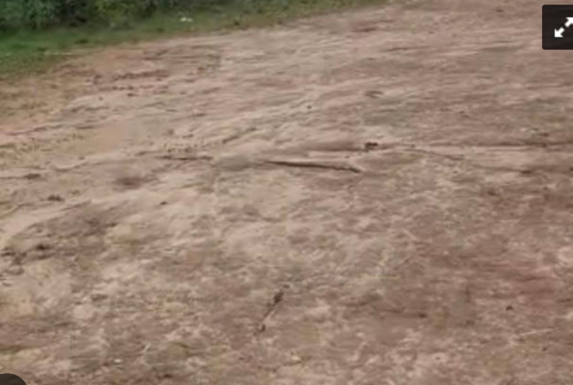 Third image of Brompton, St. Elizabeth in Fyffes Pen, St. Elizabeth, Jamaica - property is For Sale