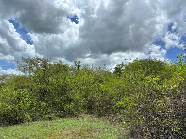 Eleventh image of Treadlight in May Pen, Clarendon, Jamaica - property is For Sale