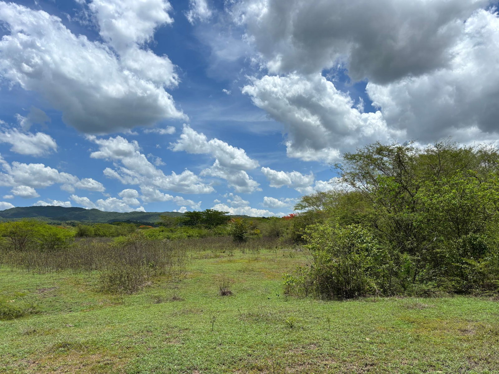 Twelfth image of Treadlight in May Pen, Clarendon, Jamaica - property is For Sale