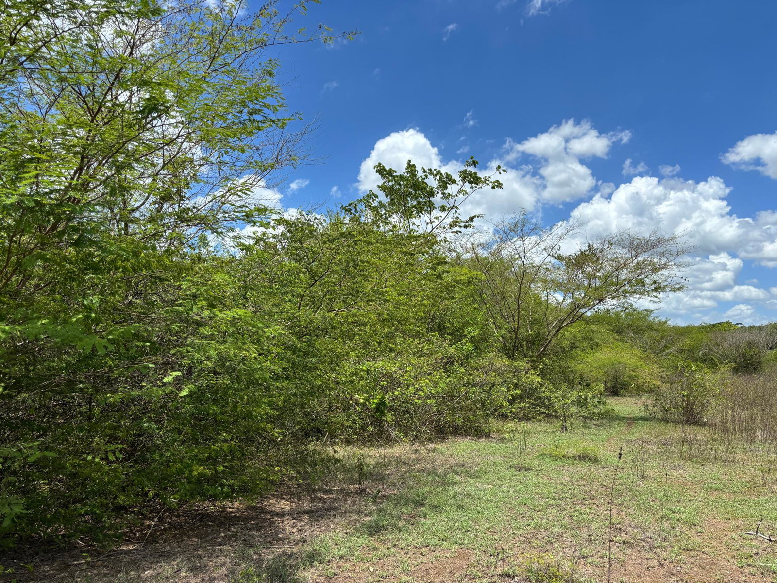Third image of Treadlight in May Pen, Clarendon, Jamaica - property is For Sale