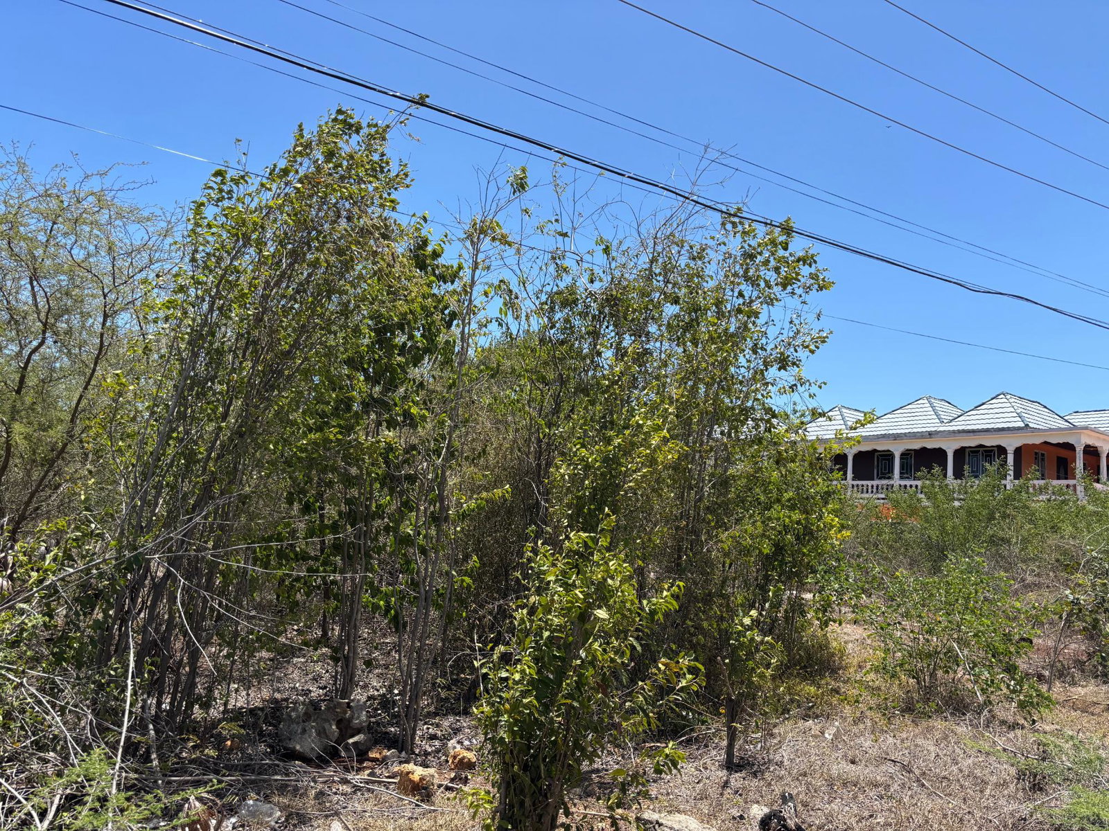 Fourth image of Treadlight in May Pen, Clarendon, Jamaica - property is For Sale