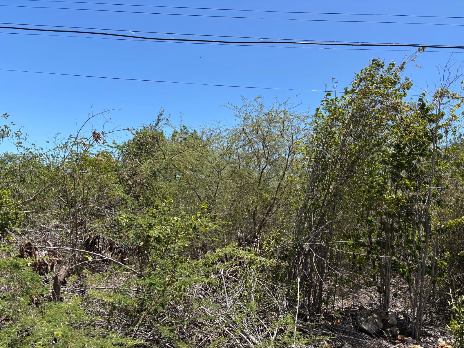 Fifth image of Treadlight in May Pen, Clarendon, Jamaica - property is For Sale