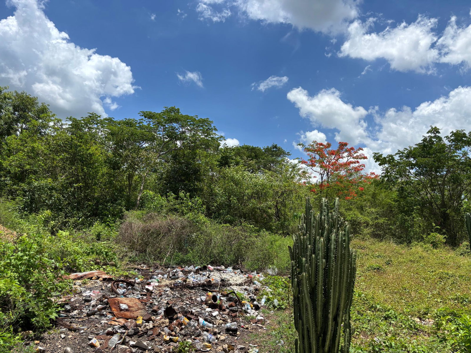 Sixth image of Treadlight in May Pen, Clarendon, Jamaica - property is For Sale