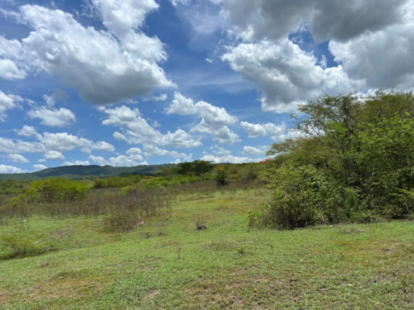 First image of Treadlight in May Pen, Clarendon, Jamaica - property is For Sale