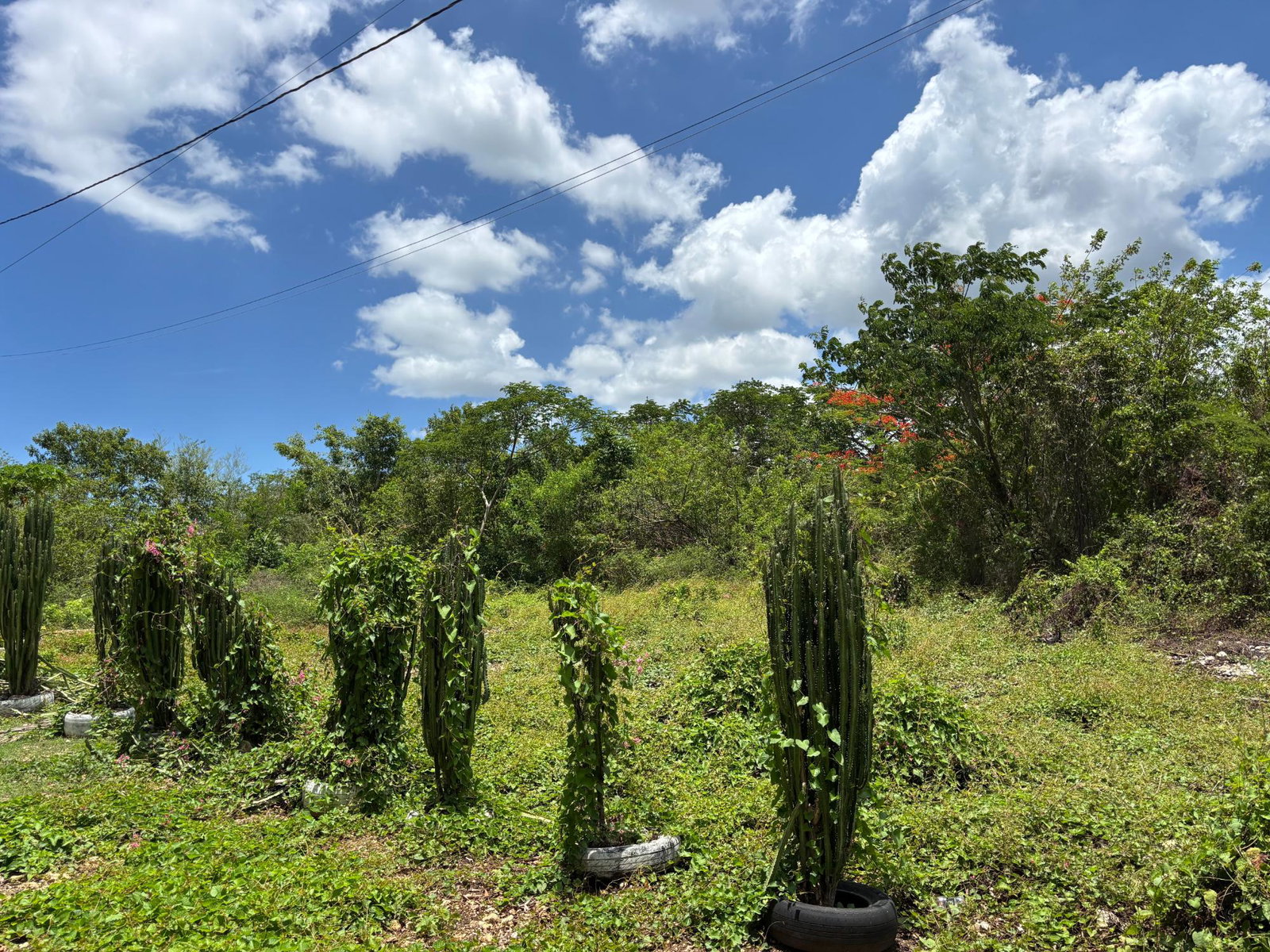 Seventh image of Treadlight in May Pen, Clarendon, Jamaica - property is For Sale
