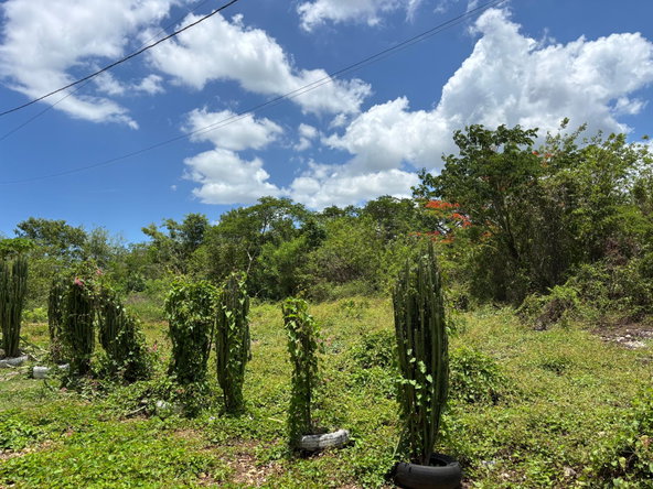Seventh image of Treadlight in May Pen, Clarendon, Jamaica - property is For Sale
