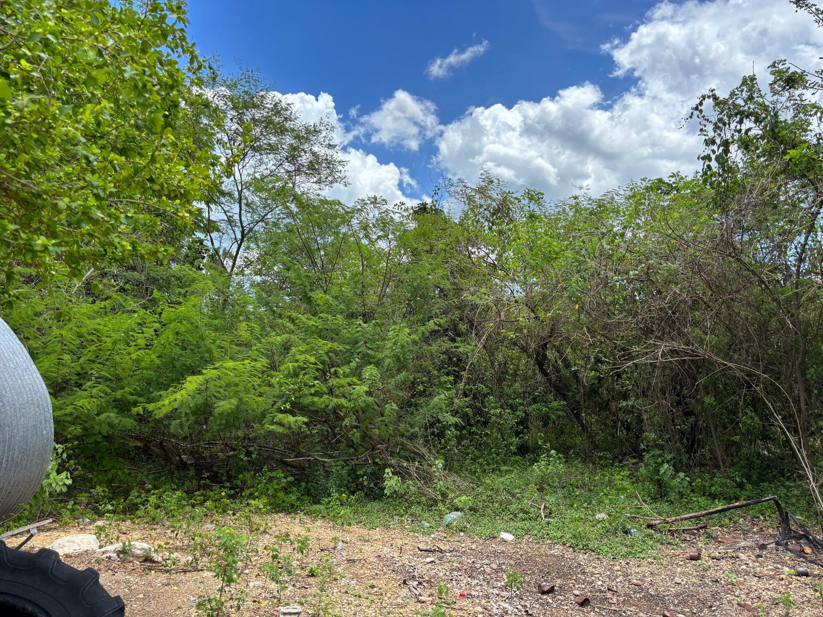 Eighth image of Treadlight in May Pen, Clarendon, Jamaica - property is For Sale