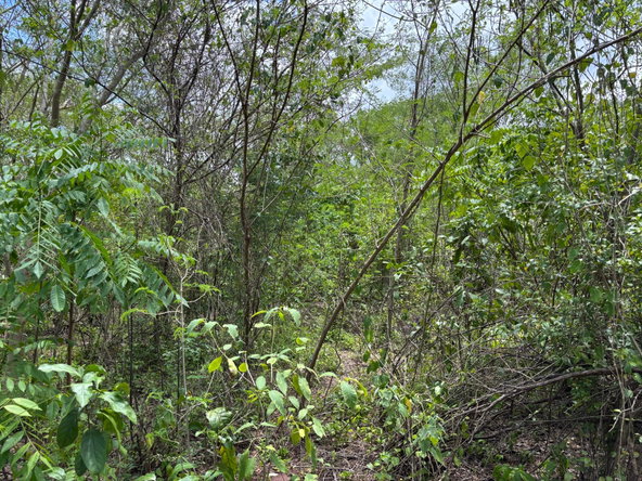 Ninth image of Treadlight in May Pen, Clarendon, Jamaica - property is For Sale