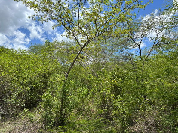 Tenth image of Treadlight in May Pen, Clarendon, Jamaica - property is For Sale