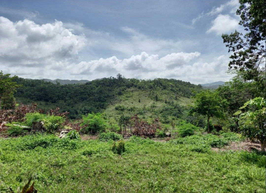 Sixth image of Claremont in Claremont, St. Ann, Jamaica - property is For Sale