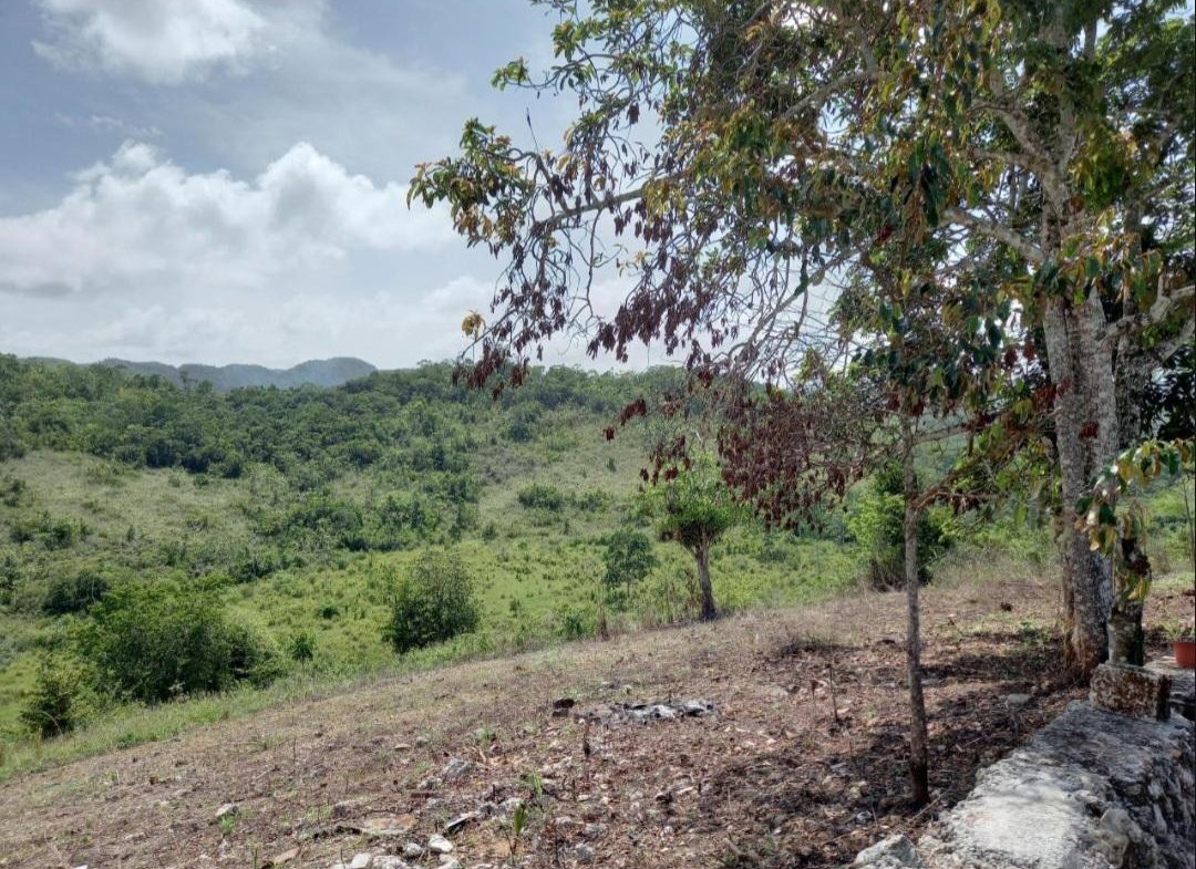 Eighth image of Claremont in Claremont, St. Ann, Jamaica - property is For Sale