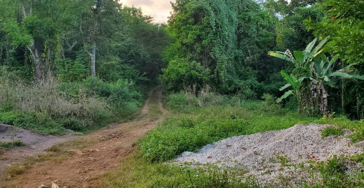 Second image of Wiltshire st James in Wiltshire, St. James, Jamaica - property is For Sale