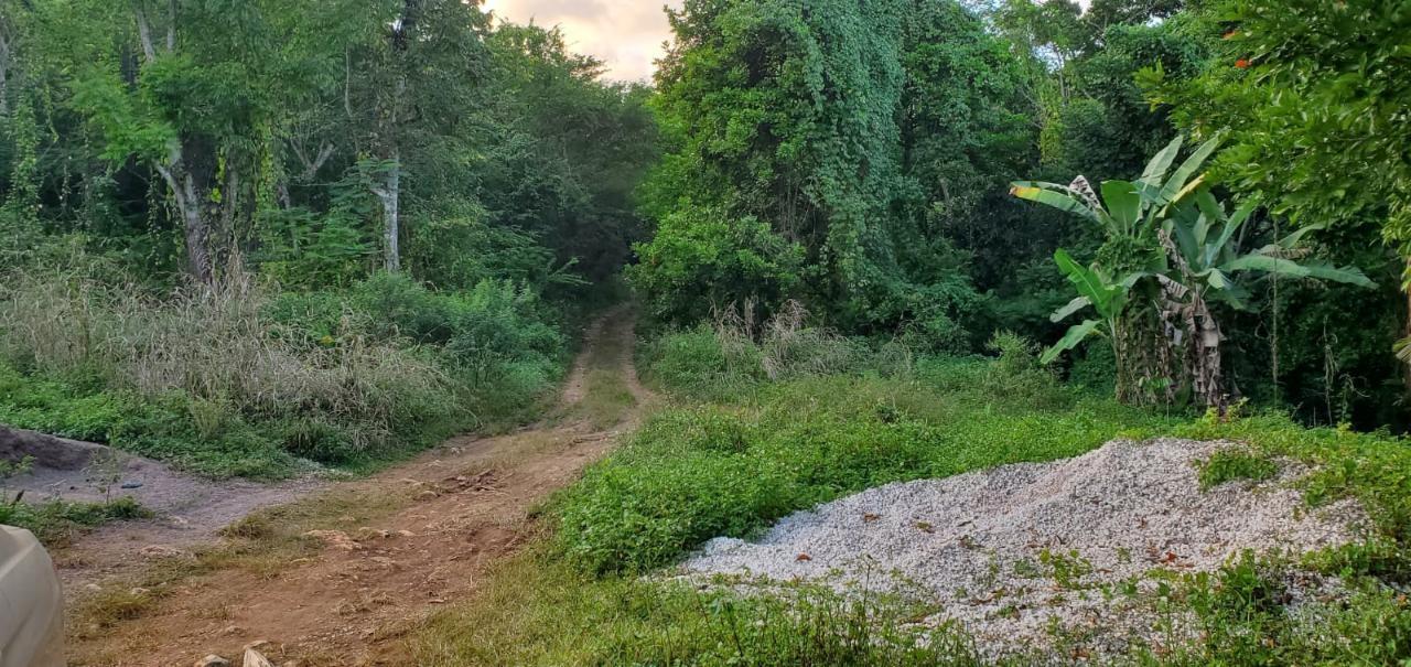 24-Acres-of-Prime-Development-Land-for-Sale-in-Montego-Bay-Wiltshire-St.-James-Jamaica Second image of Wiltshire st James in Wiltshire, St. James, Jamaica - property is For Sale