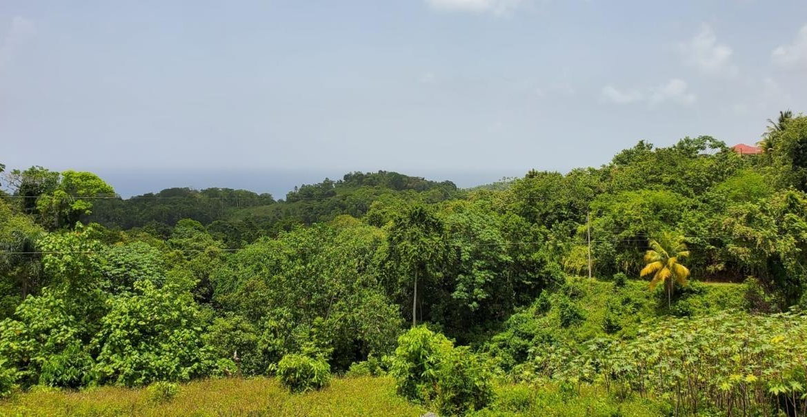 First image of Wiltshire st James in Wiltshire, St. James, Jamaica - property is For Sale