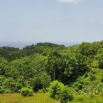 First image of Wiltshire st James in Wiltshire, St. James, Jamaica - property is For Sale