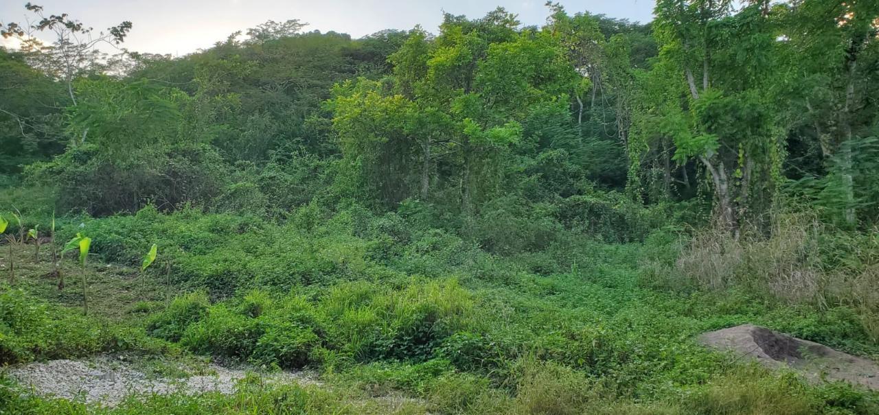 24-Acres-of-Prime-Development-Land-for-Sale-in-Montego-Bay-Wiltshire-St.-James-Jamaica Fourth image of Wiltshire st James in Wiltshire, St. James, Jamaica - property is For Sale