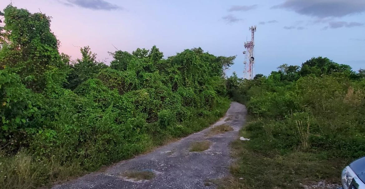 Fifth image of Wiltshire st James in Wiltshire, St. James, Jamaica - property is For Sale