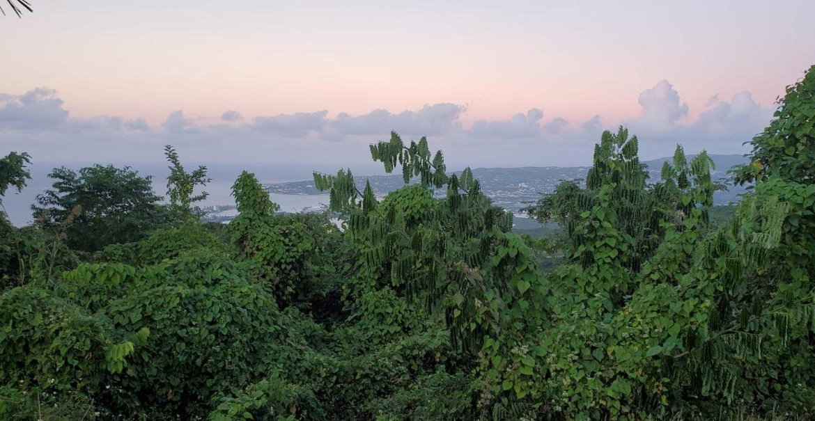 Sixth image of Wiltshire st James in Wiltshire, St. James, Jamaica - property is For Sale