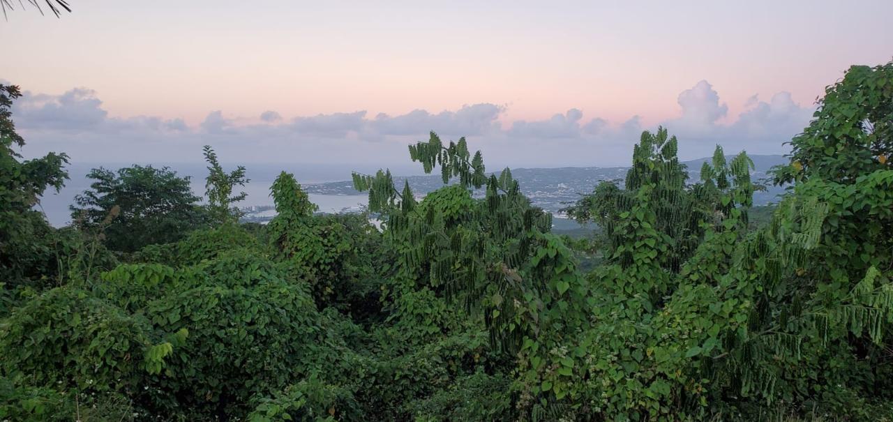 24-Acres-of-Prime-Development-Land-for-Sale-in-Montego-Bay-Wiltshire-St.-James-Jamaica Sixth image of Wiltshire st James in Wiltshire, St. James, Jamaica - property is For Sale