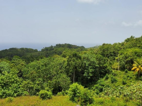 First image of Wiltshire st James in Wiltshire, St. James, Jamaica - property is For Sale