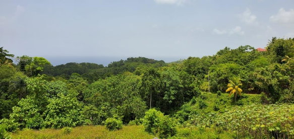 First image of Wiltshire st James in Wiltshire, St. James, Jamaica - property is For Sale