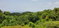 First image of Wiltshire st James in Wiltshire, St. James, Jamaica - property is For Sale