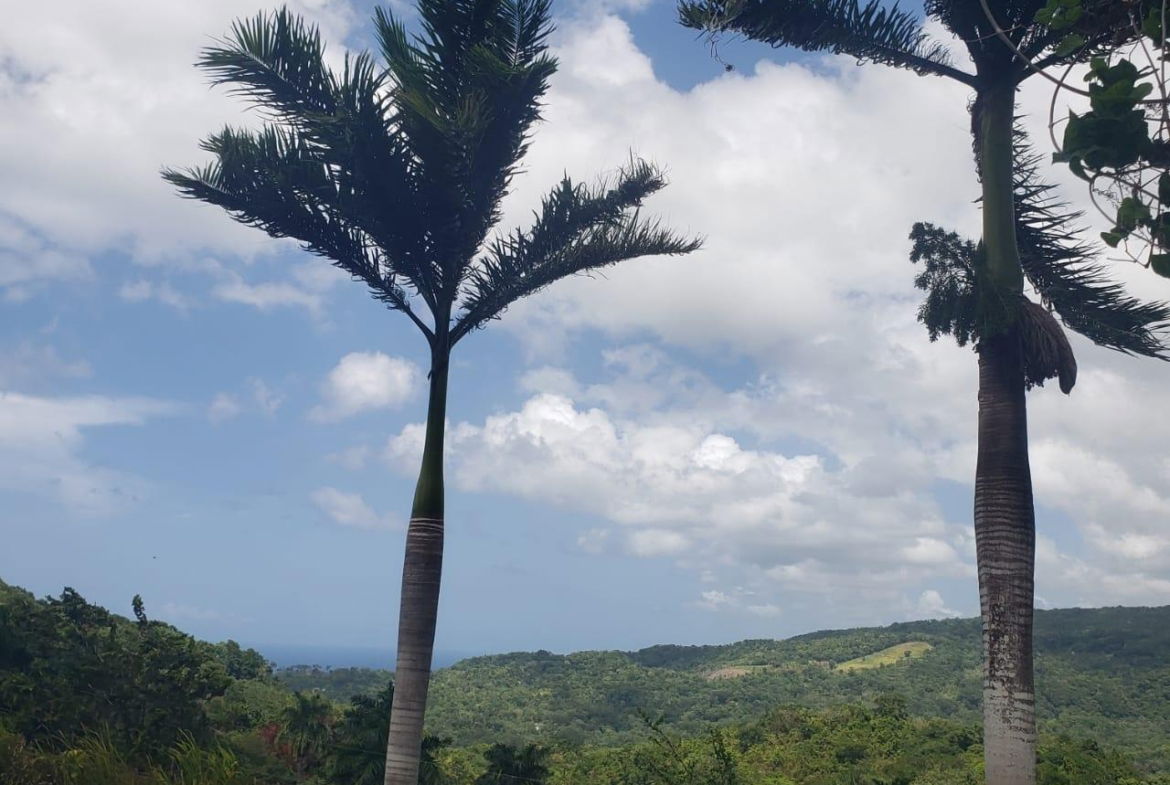 Second image of Liberty Hill in Lime Hall, St. Ann, Jamaica - property is For Sale