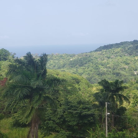 First image of Liberty Hill in Lime Hall, St. Ann, Jamaica - property is For Sale