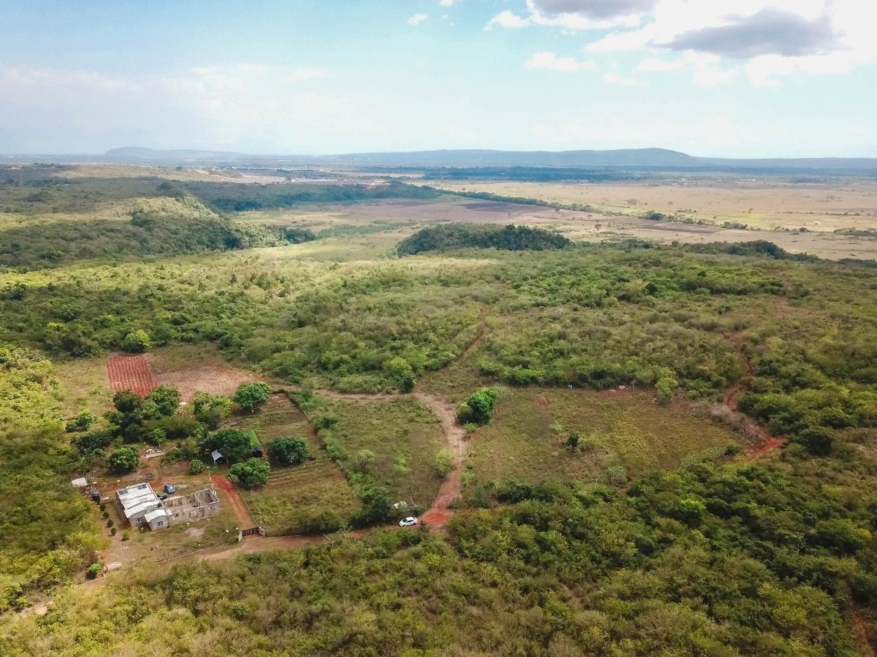 25-Acres-Farmland-for-Sale-in-Bammy-Hall-St.-Catherine-Jamaica-Development-Land-with-Utilities Second image of Bammy Hall Kitson Town st in Guanaboa Vale, St. Catherine, Jamaica - property is For Sale