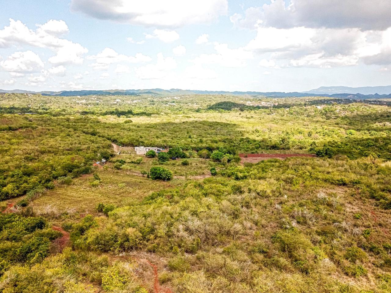 25-Acres-Farmland-for-Sale-in-Bammy-Hall-St.-Catherine-Jamaica-Development-Land-with-Utilities Eleventh image of Bammy Hall Kitson Town st in Guanaboa Vale, St. Catherine, Jamaica - property is For Sale