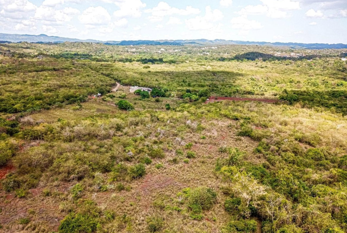 Twelfth image of Bammy Hall Kitson Town st in Guanaboa Vale, St. Catherine, Jamaica - property is For Sale