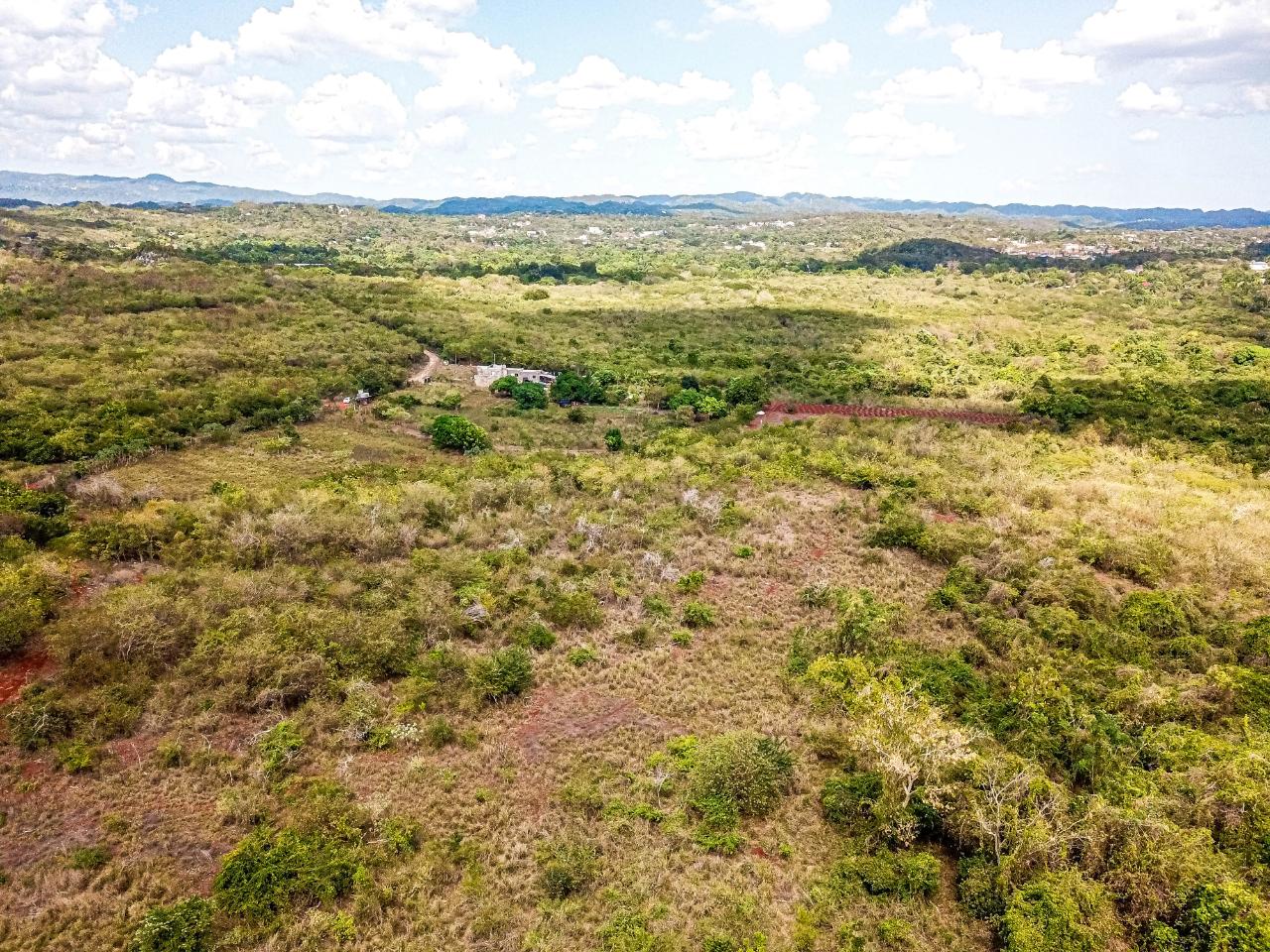 25-Acres-Farmland-for-Sale-in-Bammy-Hall-St.-Catherine-Jamaica-Development-Land-with-Utilities Twelfth image of Bammy Hall Kitson Town st in Guanaboa Vale, St. Catherine, Jamaica - property is For Sale