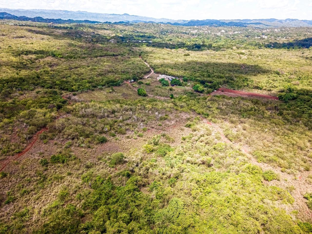 25-Acres-Farmland-for-Sale-in-Bammy-Hall-St.-Catherine-Jamaica-Development-Land-with-Utilities Thirteenth image of Bammy Hall Kitson Town st in Guanaboa Vale, St. Catherine, Jamaica - property is For Sale