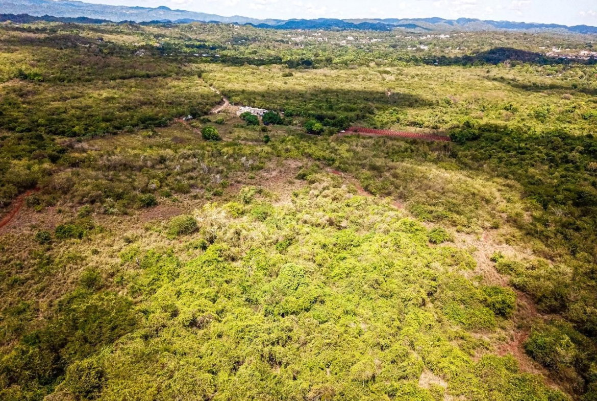 Fourteenth image of Bammy Hall Kitson Town st in Guanaboa Vale, St. Catherine, Jamaica - property is For Sale