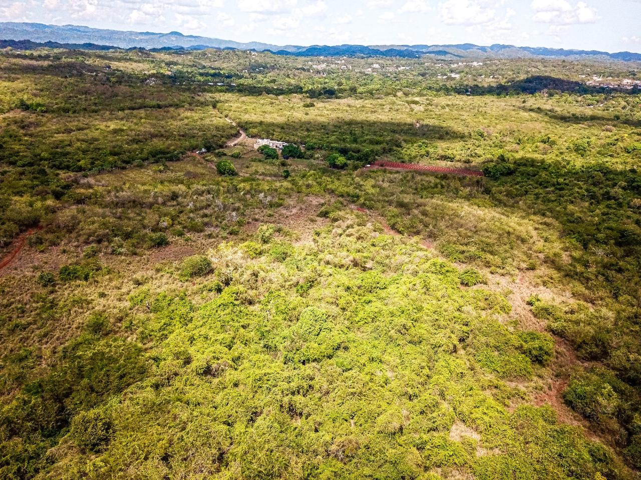 25-Acres-Farmland-for-Sale-in-Bammy-Hall-St.-Catherine-Jamaica-Development-Land-with-Utilities Fourteenth image of Bammy Hall Kitson Town st in Guanaboa Vale, St. Catherine, Jamaica - property is For Sale