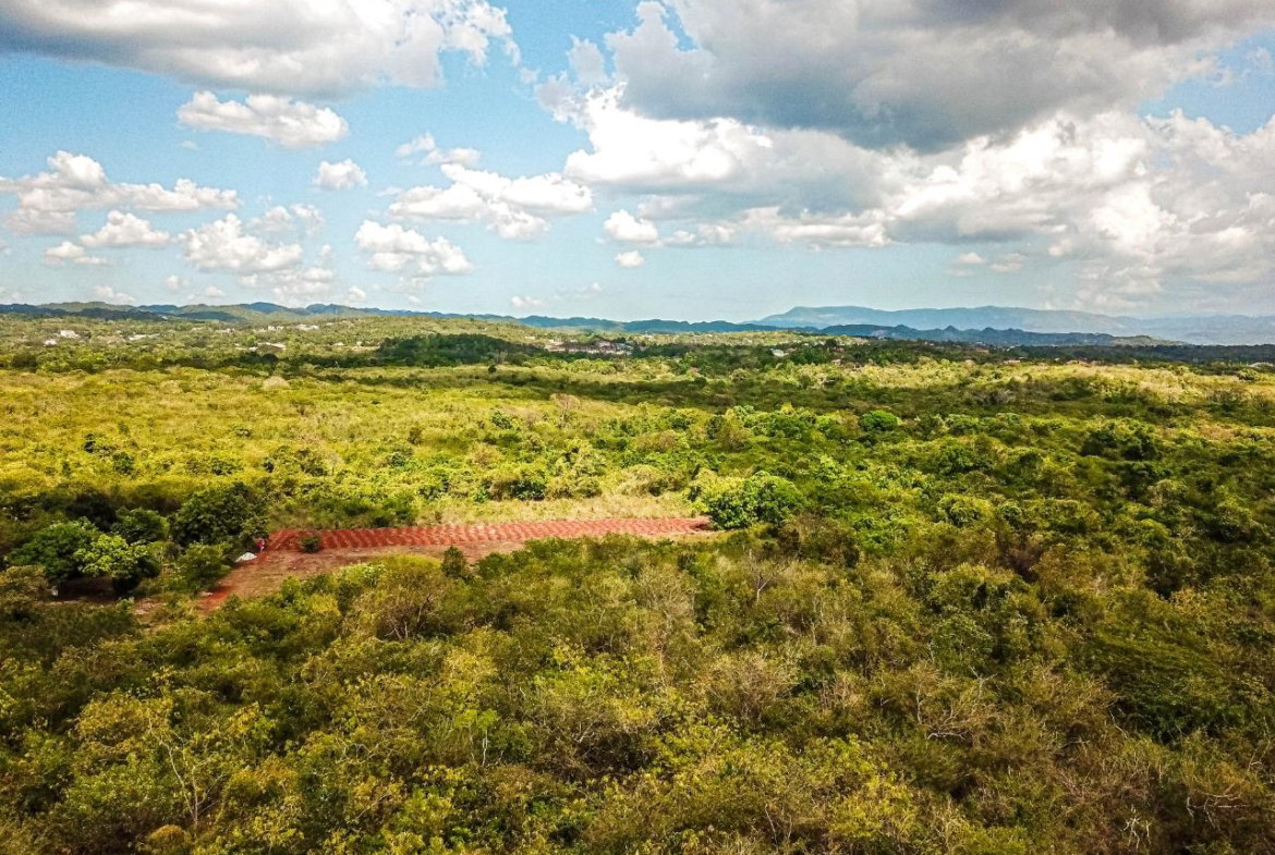 Fifteenth image of Bammy Hall Kitson Town st in Guanaboa Vale, St. Catherine, Jamaica - property is For Sale