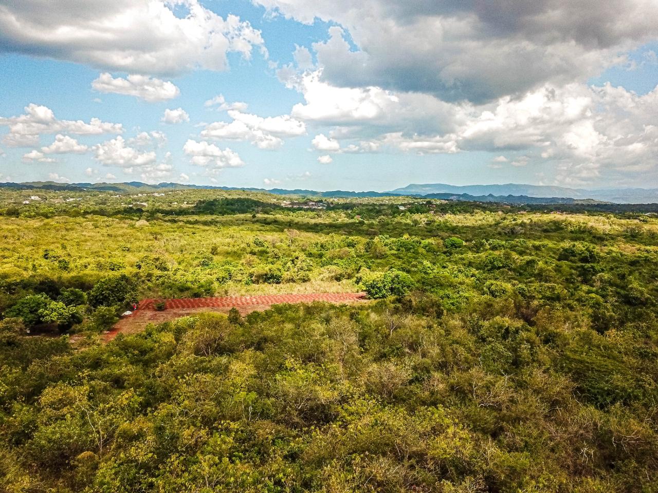 25-Acres-Farmland-for-Sale-in-Bammy-Hall-St.-Catherine-Jamaica-Development-Land-with-Utilities Fifteenth image of Bammy Hall Kitson Town st in Guanaboa Vale, St. Catherine, Jamaica - property is For Sale