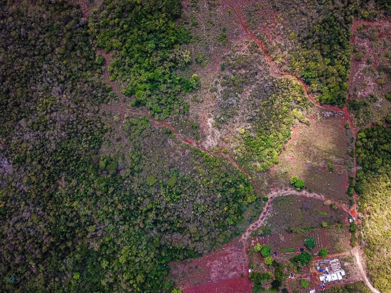 25-Acres-Farmland-for-Sale-in-Bammy-Hall-St.-Catherine-Jamaica-Development-Land-with-Utilities Sixteenth image of Bammy Hall Kitson Town st in Guanaboa Vale, St. Catherine, Jamaica - property is For Sale