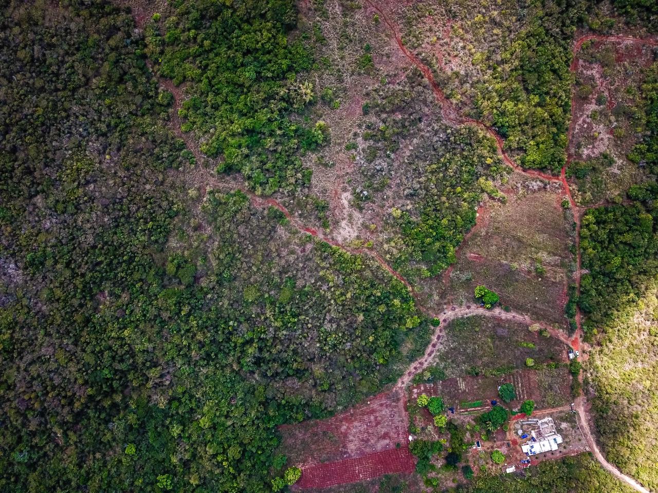 25-Acres-Farmland-for-Sale-in-Bammy-Hall-St.-Catherine-Jamaica-Development-Land-with-Utilities Seventeenth image of Bammy Hall Kitson Town st in Guanaboa Vale, St. Catherine, Jamaica - property is For Sale