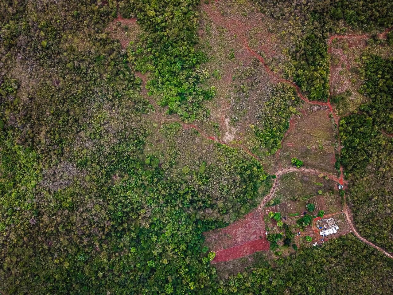 25-Acres-Farmland-for-Sale-in-Bammy-Hall-St.-Catherine-Jamaica-Development-Land-with-Utilities Eighteenth image of Bammy Hall Kitson Town st in Guanaboa Vale, St. Catherine, Jamaica - property is For Sale