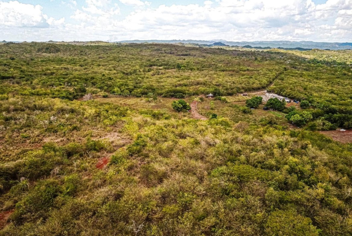 Nineteenth image of Bammy Hall Kitson Town st in Guanaboa Vale, St. Catherine, Jamaica - property is For Sale