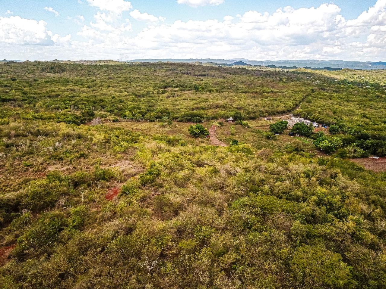 25-Acres-Farmland-for-Sale-in-Bammy-Hall-St.-Catherine-Jamaica-Development-Land-with-Utilities Nineteenth image of Bammy Hall Kitson Town st in Guanaboa Vale, St. Catherine, Jamaica - property is For Sale