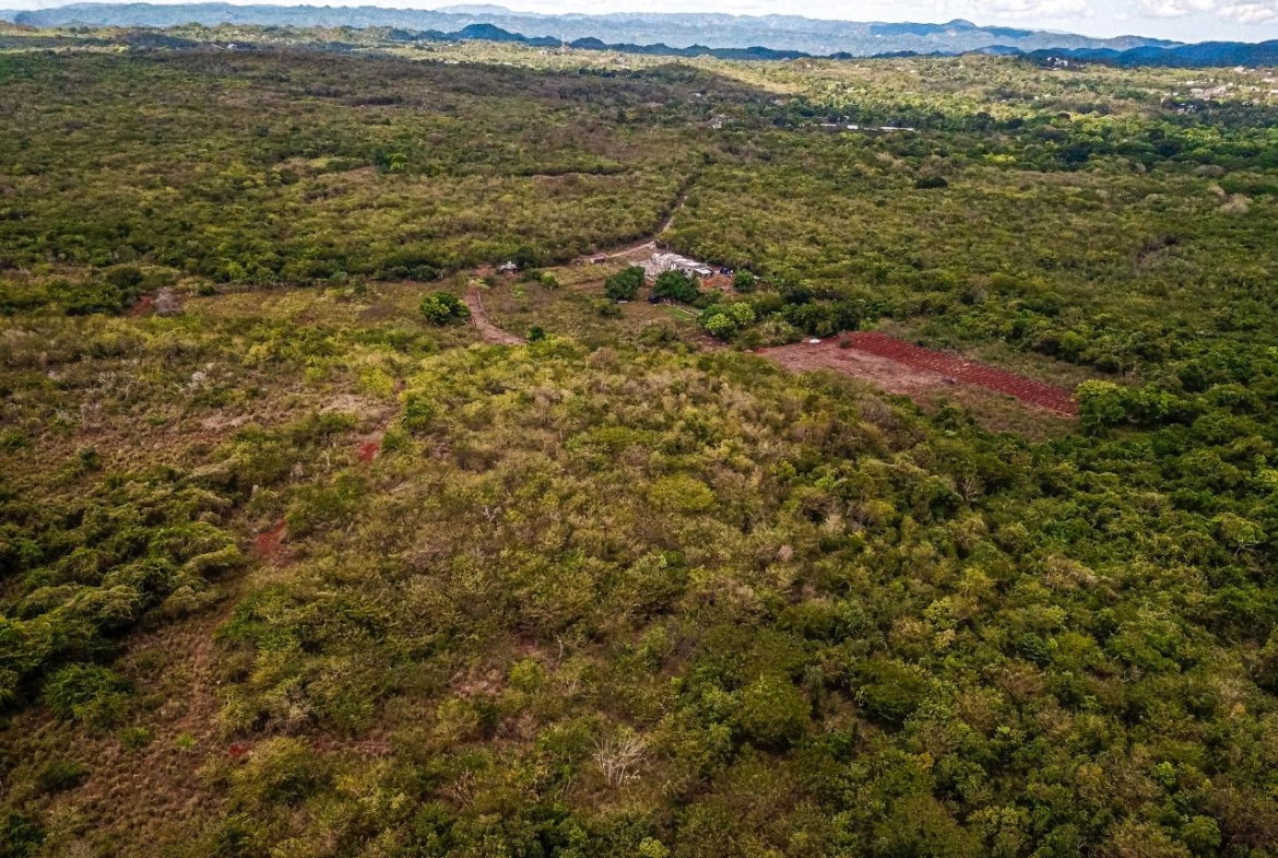 Twentieth image of Bammy Hall Kitson Town st in Guanaboa Vale, St. Catherine, Jamaica - property is For Sale