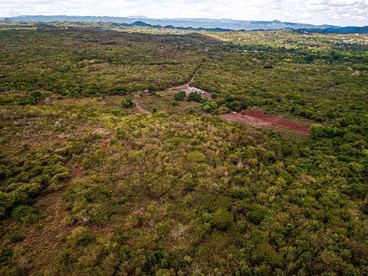 25-Acres-Farmland-for-Sale-in-Bammy-Hall-St.-Catherine-Jamaica-Development-Land-with-Utilities Twentieth image of Bammy Hall Kitson Town st in Guanaboa Vale, St. Catherine, Jamaica - property is For Sale