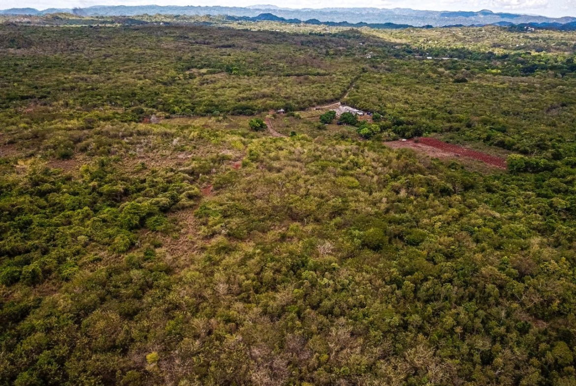 Twenty-First image of Bammy Hall Kitson Town st in Guanaboa Vale, St. Catherine, Jamaica - property is For Sale