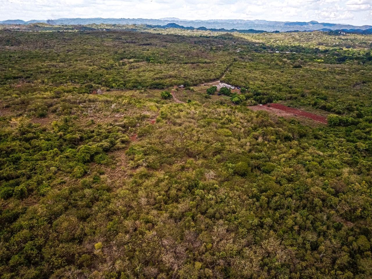 25-Acres-Farmland-for-Sale-in-Bammy-Hall-St.-Catherine-Jamaica-Development-Land-with-Utilities Twenty-First image of Bammy Hall Kitson Town st in Guanaboa Vale, St. Catherine, Jamaica - property is For Sale