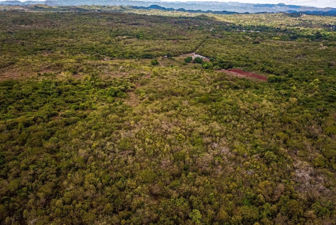 Twenty-Second image of Bammy Hall Kitson Town st in Guanaboa Vale, St. Catherine, Jamaica - property is For Sale