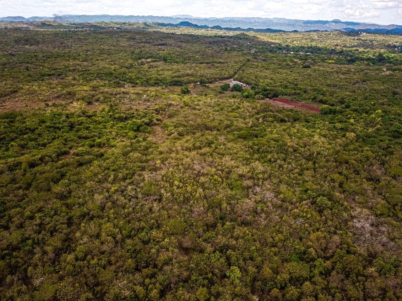 25-Acres-Farmland-for-Sale-in-Bammy-Hall-St.-Catherine-Jamaica-Development-Land-with-Utilities Twenty-Second image of Bammy Hall Kitson Town st in Guanaboa Vale, St. Catherine, Jamaica - property is For Sale